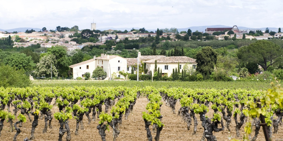 Domaine St Pierre familie vakantie Frankijk