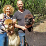 Don giet wandeling alpacas - domaine Ramonjavel